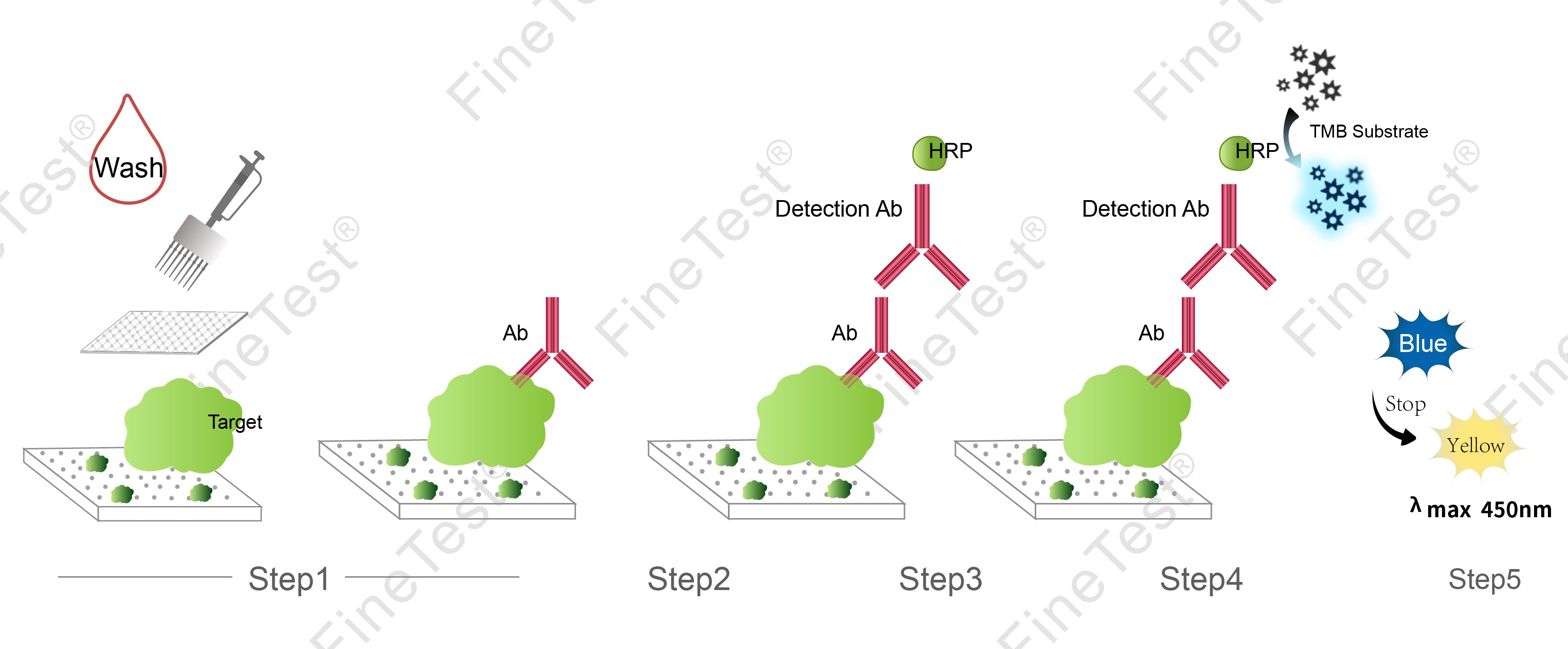 Human ADV-IgG(adenovirus-Immunoglobulin G) ELISA Kit