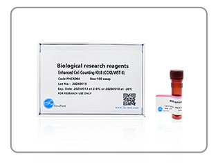 CCK8 Assay Kit