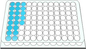 Standard Dilution and Loading