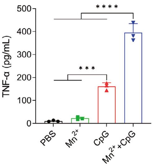 toll like receptors and cancer